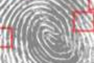 unsecured-database-exposes-76,000-fingerprints