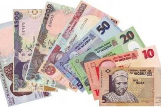 nigeria:-market-unfavourable-for-naira-devaluation-–-cbn
