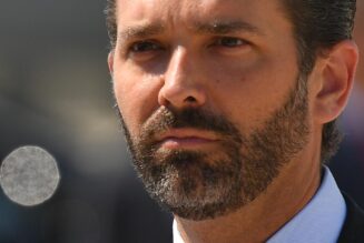 Opinion: Why Trump Jr. started pushing for a coup before Biden won the 2020 election
