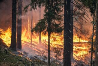 Dry Spell Flares Massive Forest Fires In J&K